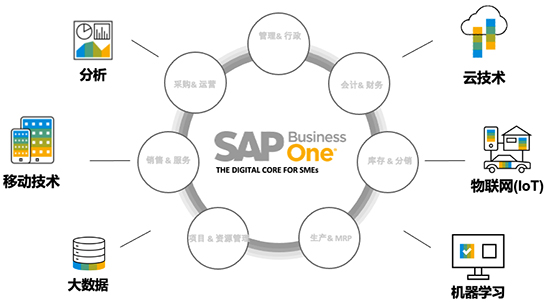 SAP Business One,中小企业SAP,SAP中小企业,中小企业智能化管理,Business One