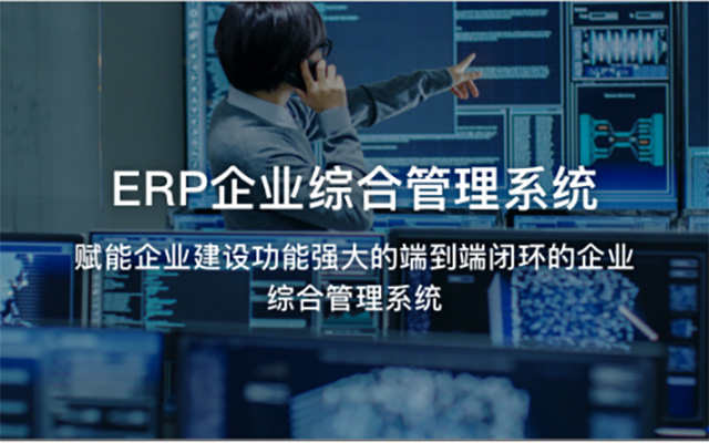 大中型企业ERP,ERP产品,重庆ERP软件公司,重庆达策,企业ERP,SAP